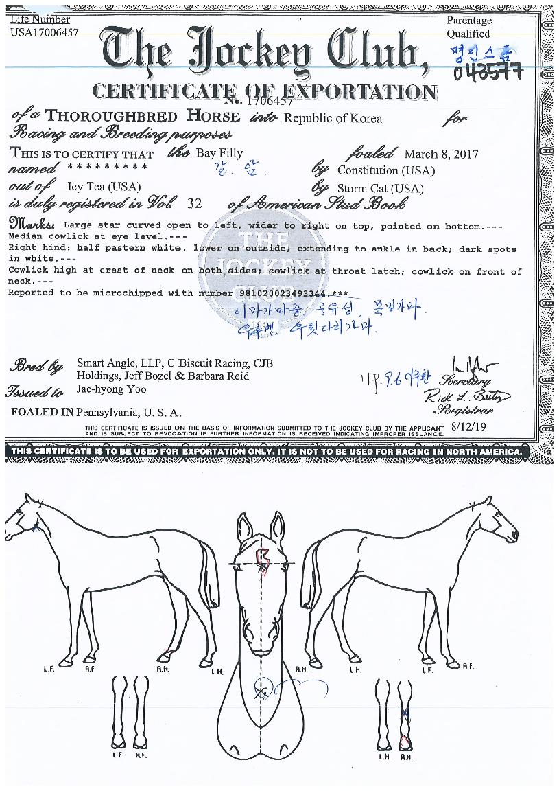 ���������� ����,���,�޸�,�λ�,�ٸ��� Ư¡����