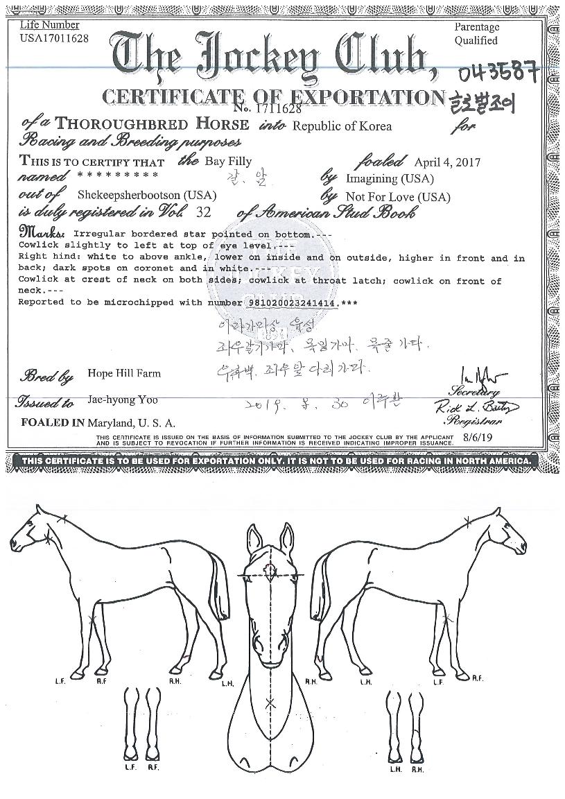 ±Û·Î¹úÁ¶ÀÌÀÇ Ãø¸é,¿ì¸é,µÞ¸é,µÎ»ó,´Ù¸®ÀÇ Æ¯Â¡µµÇØ