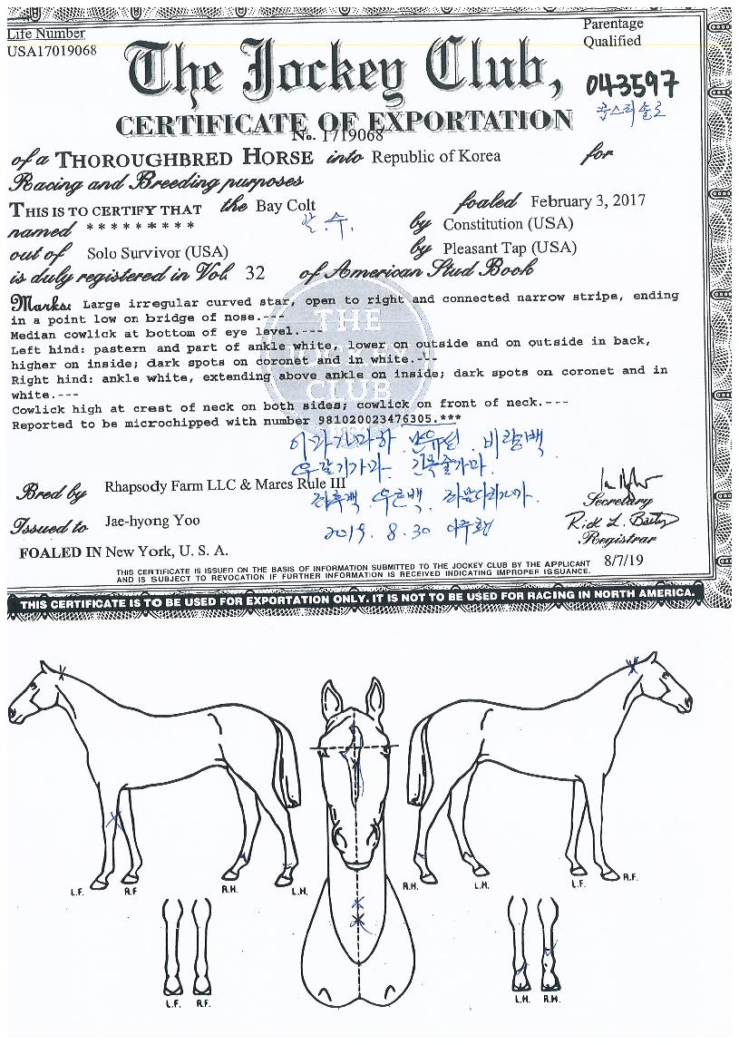 �ܽ�Ƽ�ַ��� ����,���,�޸�,�λ�,�ٸ��� Ư¡����