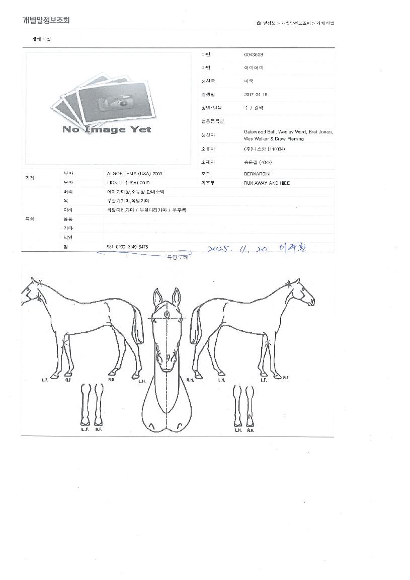 ���� ����,���,�޸�,�λ�,�ٸ��� Ư¡����