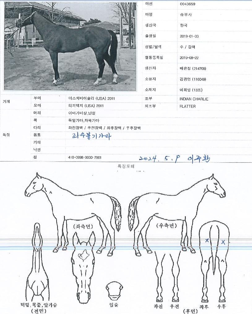 ½ÂºÎ»çÀÇ Ãø¸é,¿ì¸é,µÞ¸é,µÎ»ó,´Ù¸®ÀÇ Æ¯Â¡µµÇØ