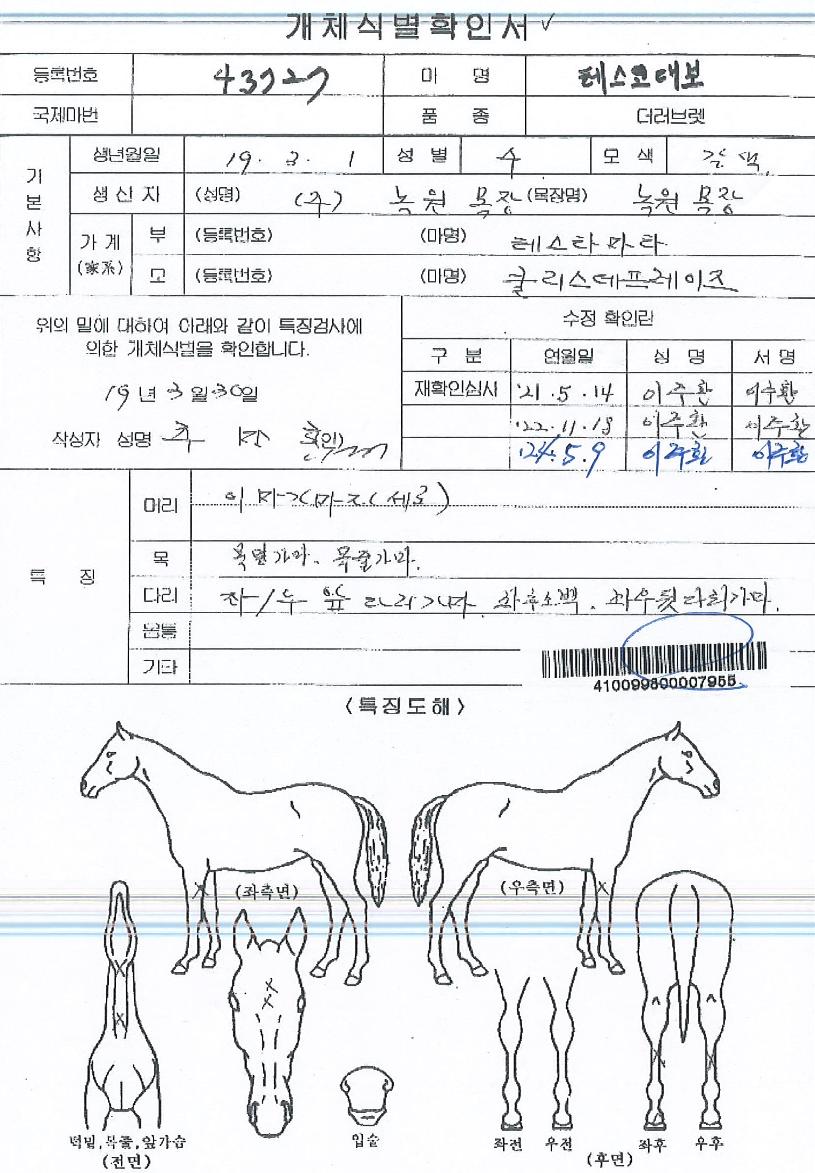 Å×½º°í´ëº¸ÀÇ Ãø¸é,¿ì¸é,µÞ¸é,µÎ»ó,´Ù¸®ÀÇ Æ¯Â¡µµÇØ