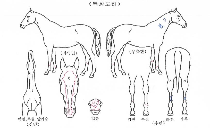 õ���Ǻ��� ����,���,�޸�,�λ�,�ٸ��� Ư¡����