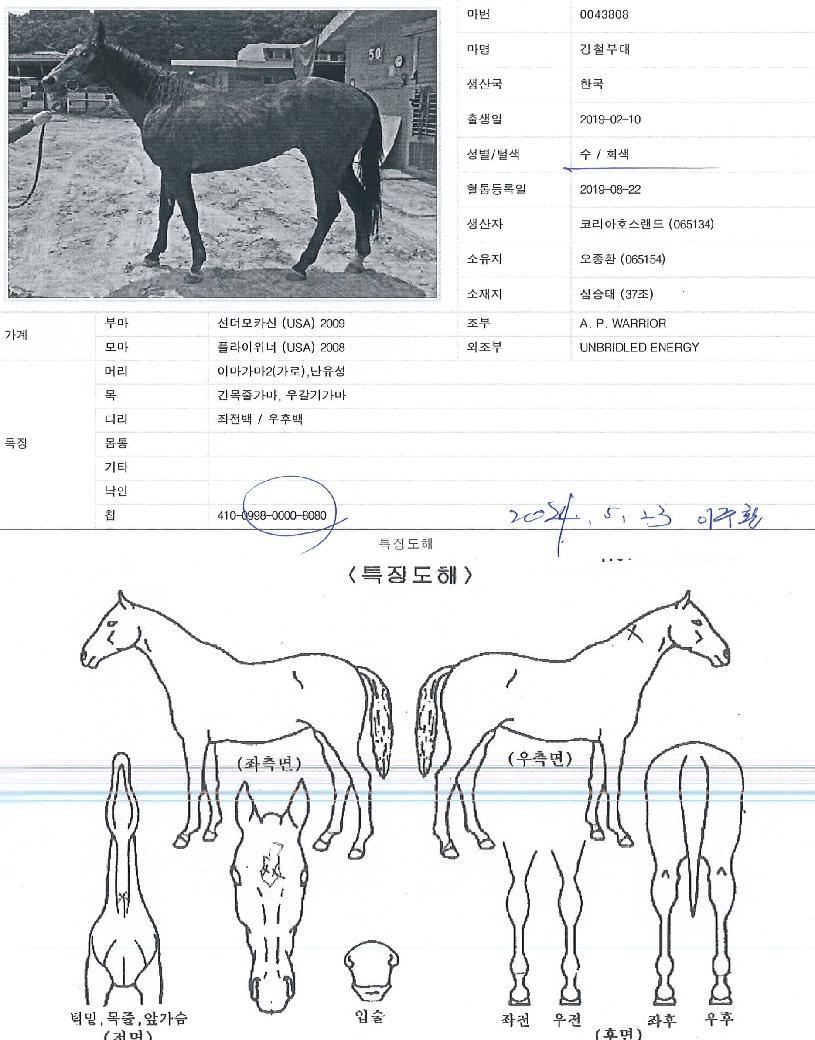 °Ã¶ºÎ´ëÀÇ Ãø¸é,¿ì¸é,µÞ¸é,µÎ»ó,´Ù¸®ÀÇ Æ¯Â¡µµÇØ