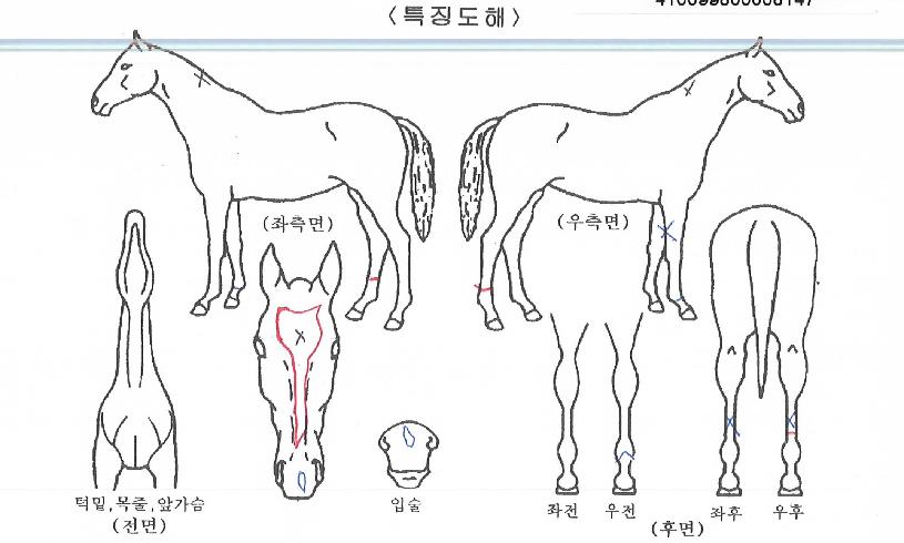 ����������� ����,���,�޸�,�λ�,�ٸ��� Ư¡����