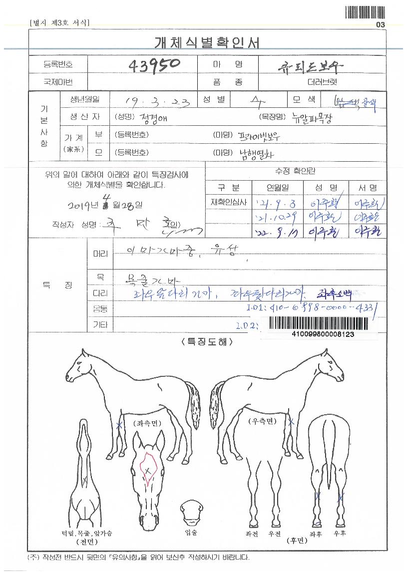 Å¥Çǵ庸¿ìÀÇ Ãø¸é,¿ì¸é,µÞ¸é,µÎ»ó,´Ù¸®ÀÇ Æ¯Â¡µµÇØ