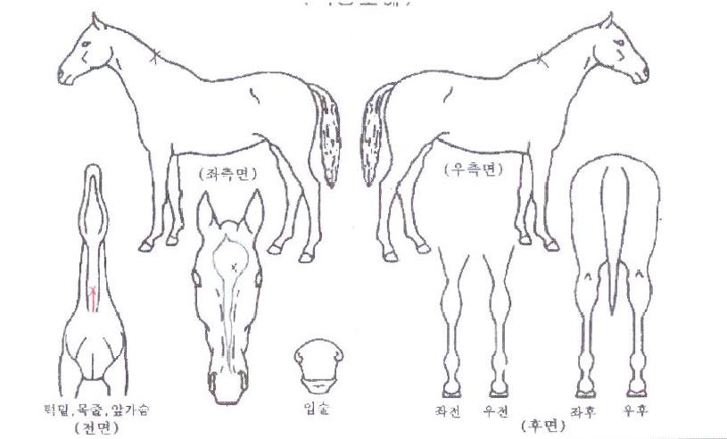 �Ŀ������� ����,���,�޸�,�λ�,�ٸ��� Ư¡����