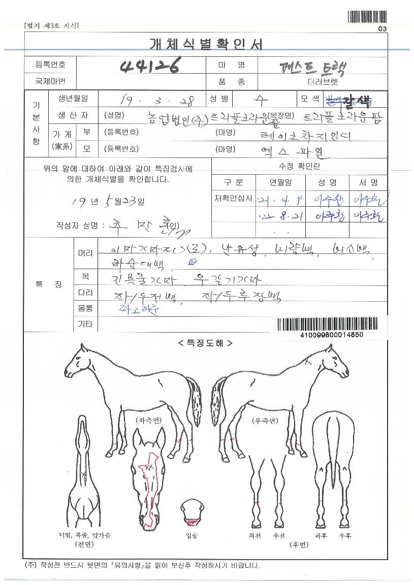 �н�ƮƮ���� ����,���,�޸�,�λ�,�ٸ��� Ư¡����