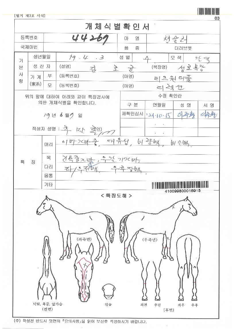 æ½½·¯ÀÇ Ãø¸é,¿ì¸é,µÞ¸é,µÎ»ó,´Ù¸®ÀÇ Æ¯Â¡µµÇØ