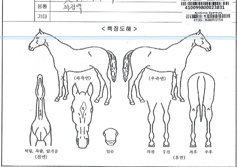 ���ϵ�轺�� ����,���,�޸�,�λ�,�ٸ��� Ư¡����