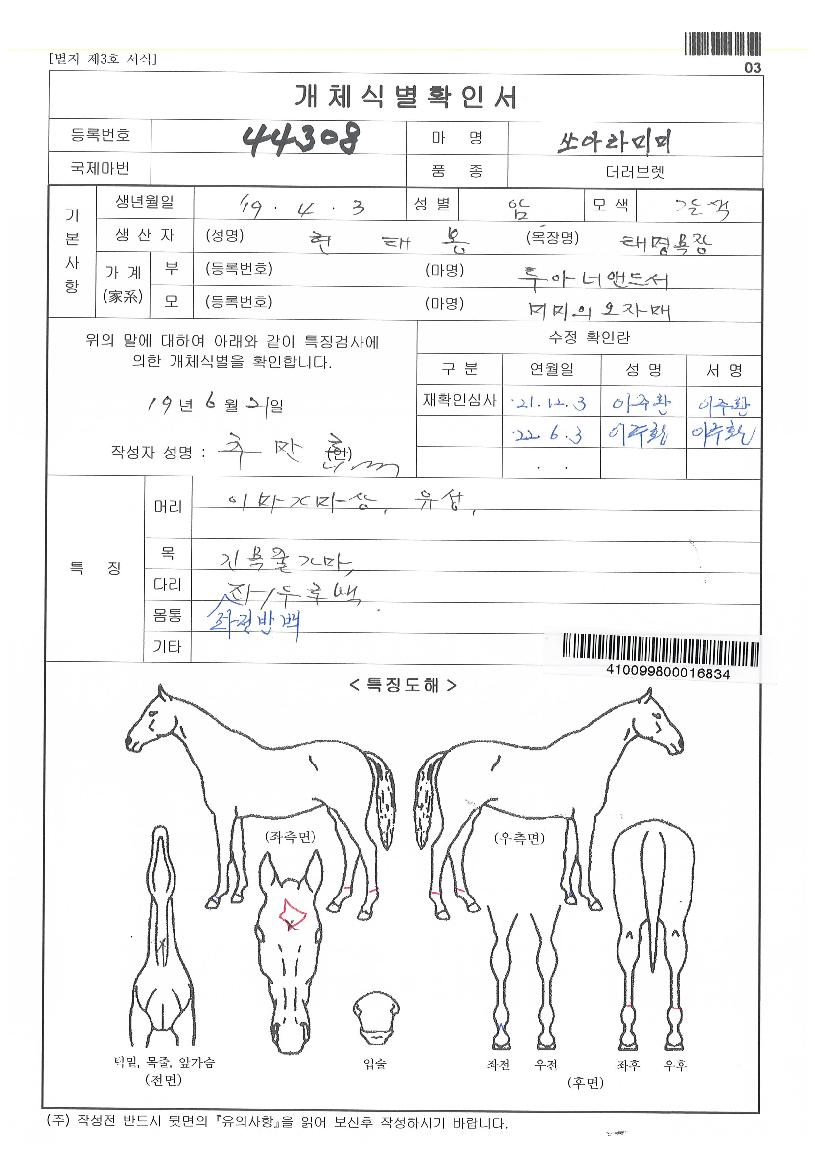 ��ƶ�̹��� ����,���,�޸�,�λ�,�ٸ��� Ư¡����