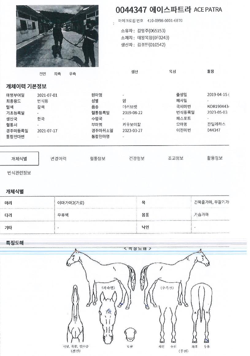 ¿¡À̽ºÆÄÆ®¶óÀÇ Ãø¸é,¿ì¸é,µÞ¸é,µÎ»ó,´Ù¸®ÀÇ Æ¯Â¡µµÇØ