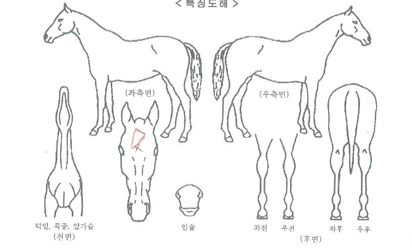 ��������ġ�� ����,���,�޸�,�λ�,�ٸ��� Ư¡����