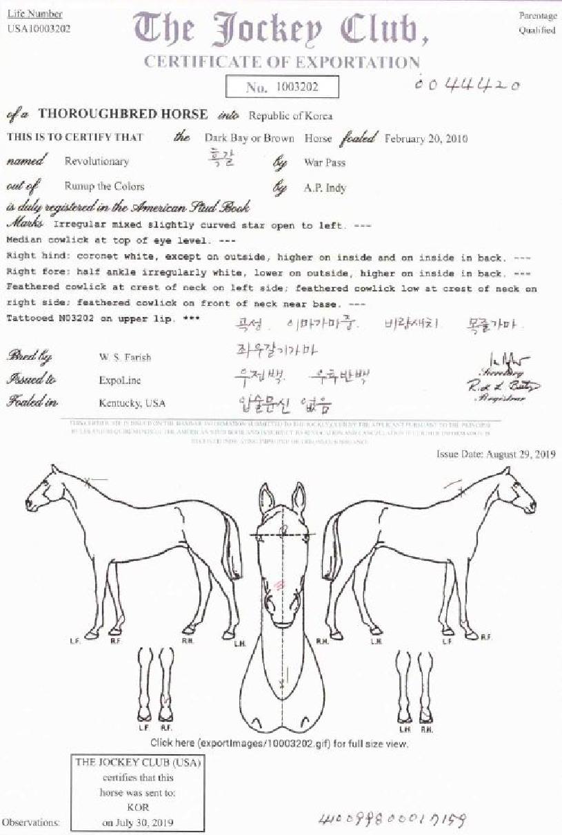 ������ųʸ��� ����,���,�޸�,�λ�,�ٸ��� Ư¡����