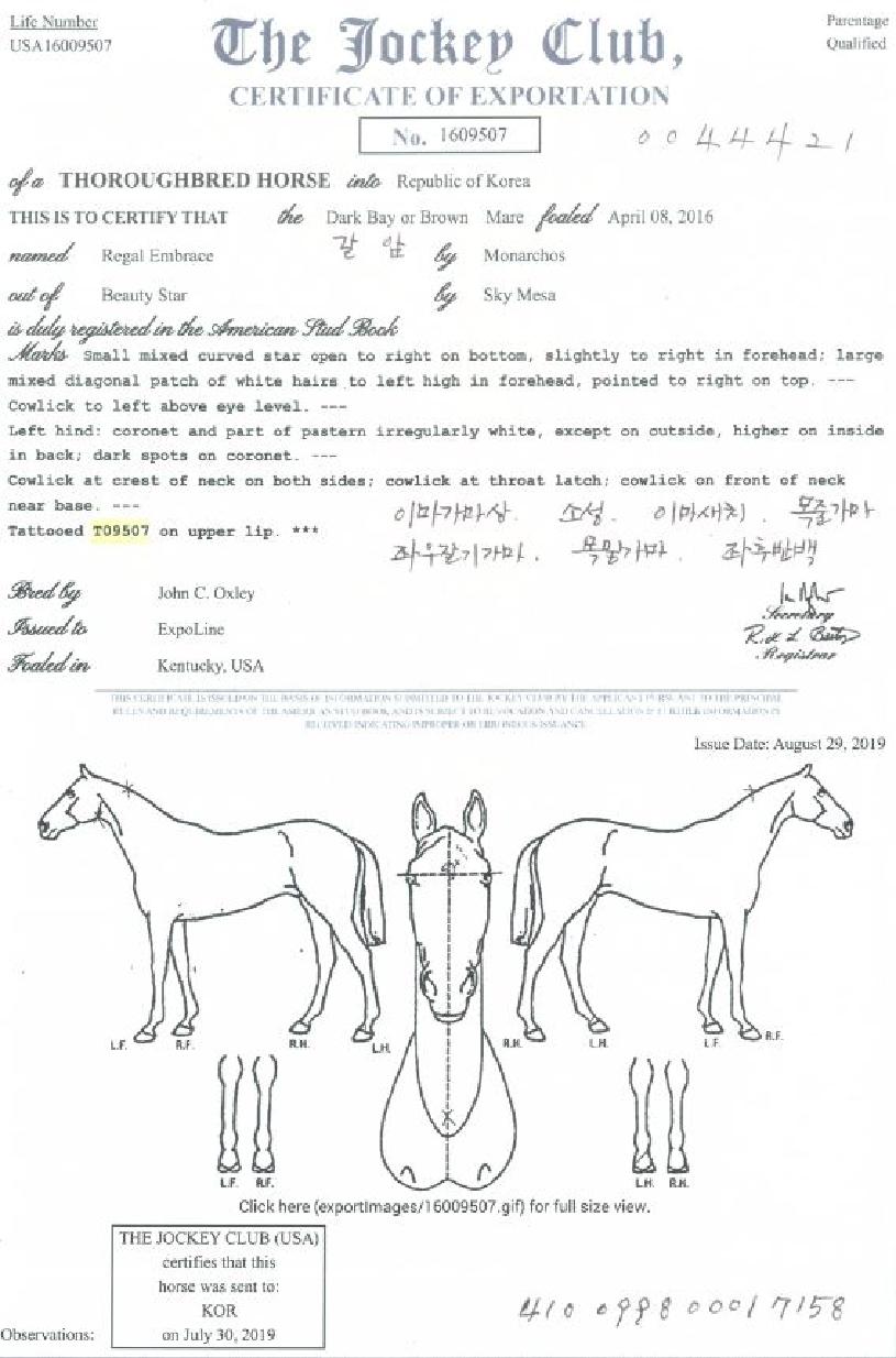 ���ɿ��극�̽��� ����,���,�޸�,�λ�,�ٸ��� Ư¡����