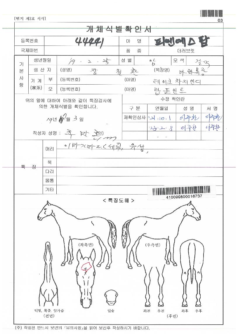 ÇÇ¿£¿¡½ºÅ¾ÀÇ Ãø¸é,¿ì¸é,µÞ¸é,µÎ»ó,´Ù¸®ÀÇ Æ¯Â¡µµÇØ