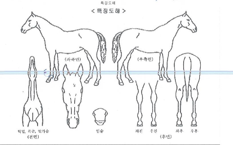 �̶�Ŭ������ ����,���,�޸�,�λ�,�ٸ��� Ư¡����