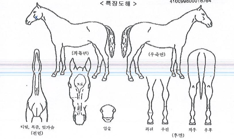 ����Ʈ��ġ�� ����,���,�޸�,�λ�,�ٸ��� Ư¡����