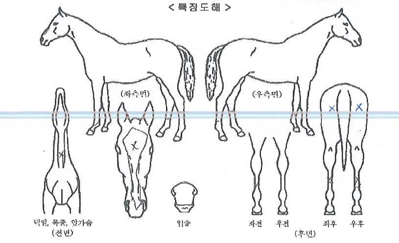 ÄÄÇø®Æ®Å¸ÀÓÀÇ Ãø¸é,¿ì¸é,µÞ¸é,µÎ»ó,´Ù¸®ÀÇ Æ¯Â¡µµÇØ