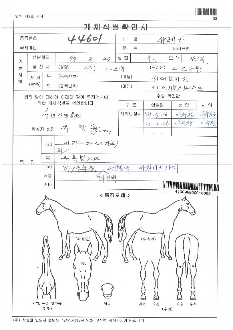 À¯·¹Ä«ÀÇ Ãø¸é,¿ì¸é,µÞ¸é,µÎ»ó,´Ù¸®ÀÇ Æ¯Â¡µµÇØ