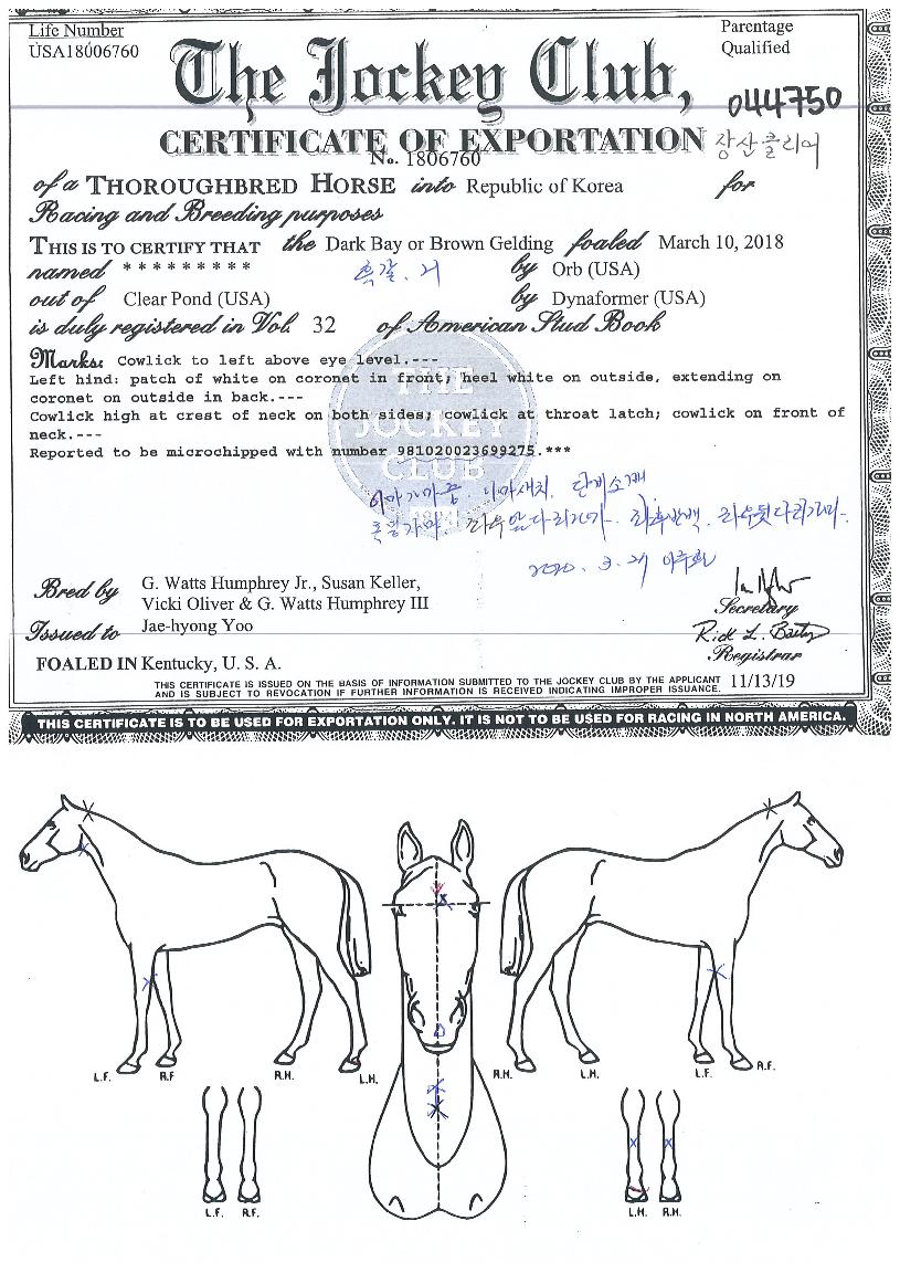 ���Ŭ������ ����,���,�޸�,�λ�,�ٸ��� Ư¡����