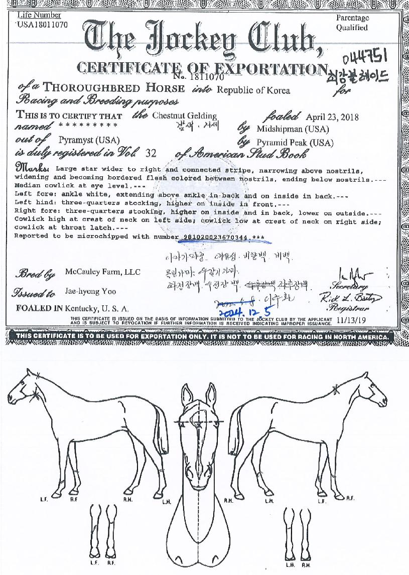 �ְ������̵��� ����,���,�޸�,�λ�,�ٸ��� Ư¡����