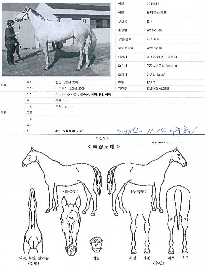 ����Ǯ����Ʈ�� ����,���,�޸�,�λ�,�ٸ��� Ư¡����