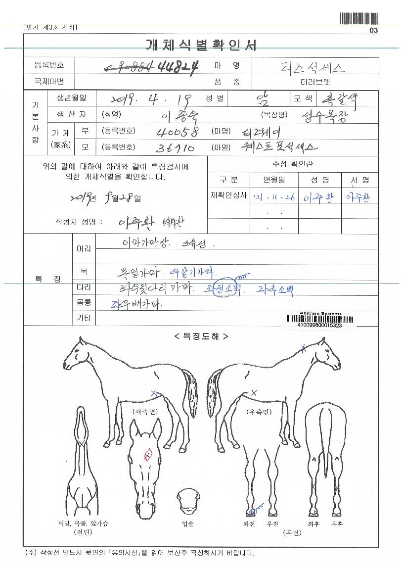 Ƽ������� ����,���,�޸�,�λ�,�ٸ��� Ư¡����