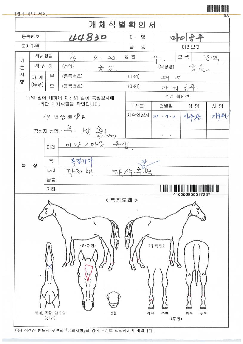 ¸¶ÀÌ¿ÕÀÚÀÇ Ãø¸é,¿ì¸é,µÞ¸é,µÎ»ó,´Ù¸®ÀÇ Æ¯Â¡µµÇØ