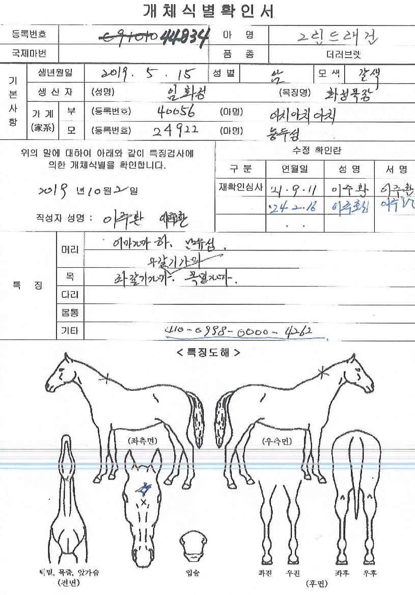 �׸��巡���� ����,���,�޸�,�λ�,�ٸ��� Ư¡����