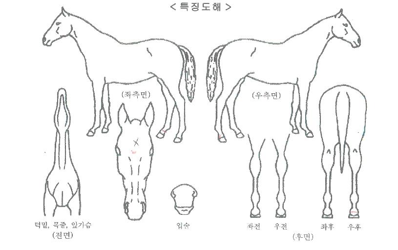 ���������� ����,���,�޸�,�λ�,�ٸ��� Ư¡����