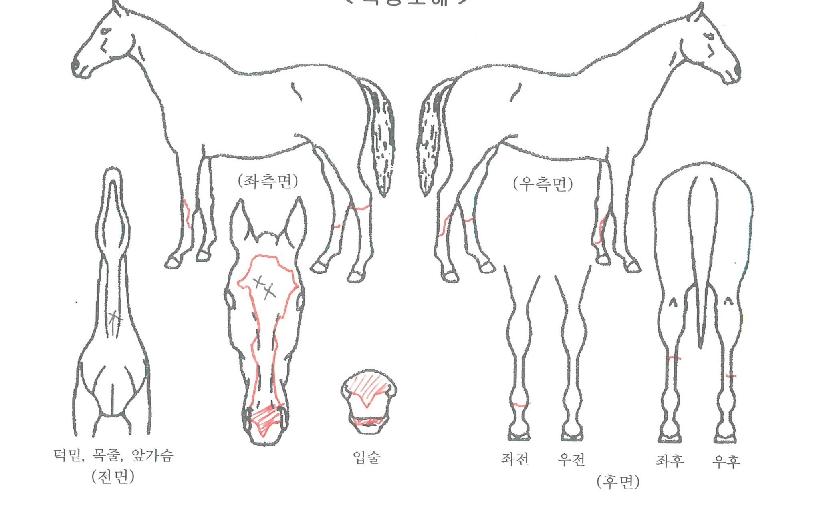 �ݾƿ���� ����,���,�޸�,�λ�,�ٸ��� Ư¡����