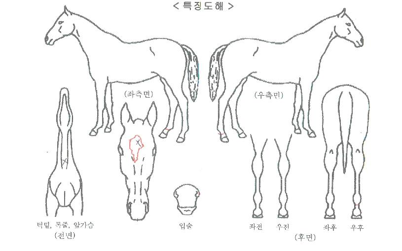 �����ǽ�Ÿ�� ����,���,�޸�,�λ�,�ٸ��� Ư¡����