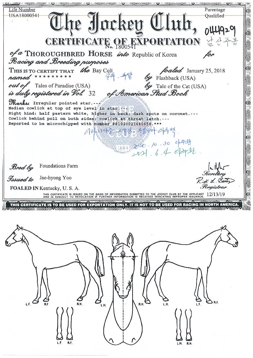 ³²»êÁÖ¸ùÀÇ Ãø¸é,¿ì¸é,µÞ¸é,µÎ»ó,´Ù¸®ÀÇ Æ¯Â¡µµÇØ