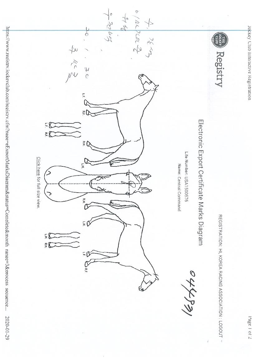 ��Ʈ��Ŀ�ǵ��� ����,���,�޸�,�λ�,�ٸ��� Ư¡����