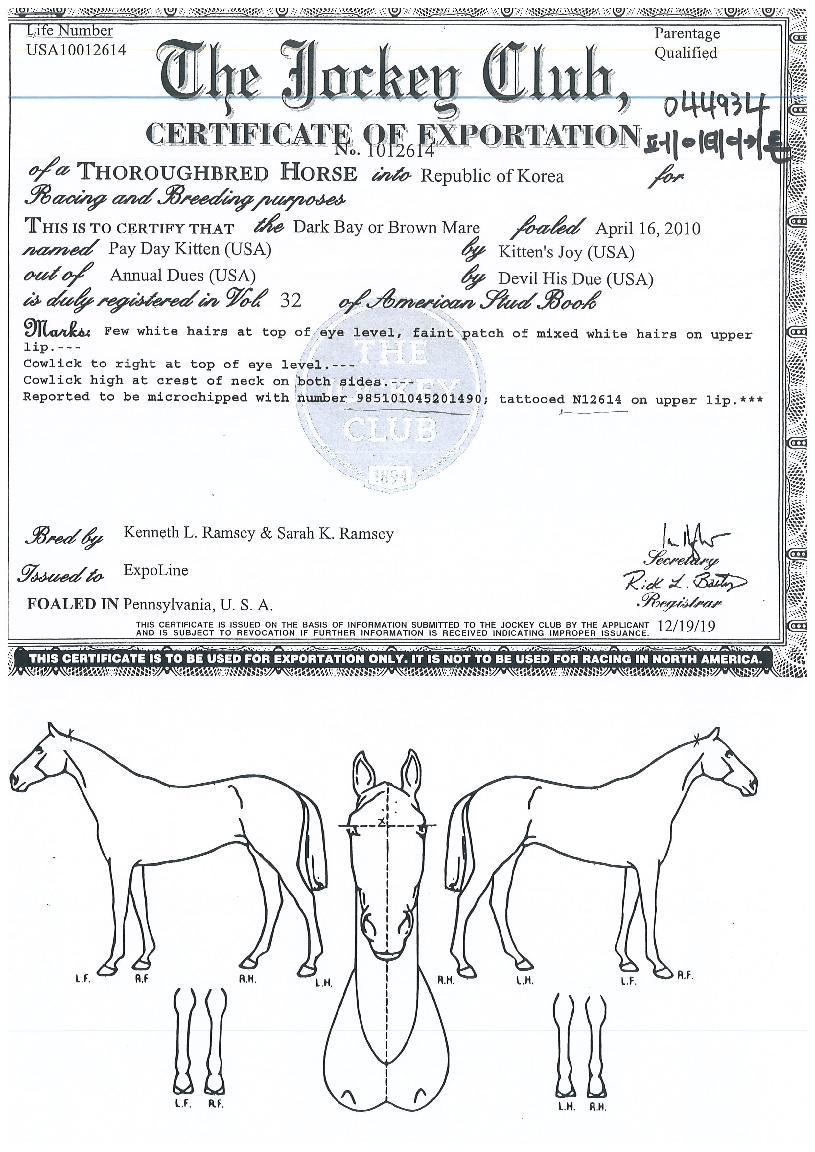 ���̵���Űư�� ����,���,�޸�,�λ�,�ٸ��� Ư¡����