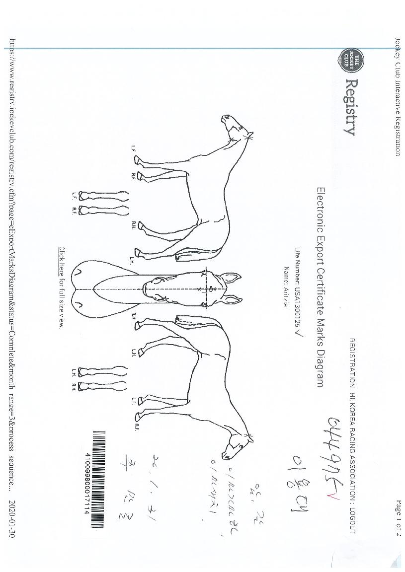 �Ƹ�ġ���� ����,���,�޸�,�λ�,�ٸ��� Ư¡����