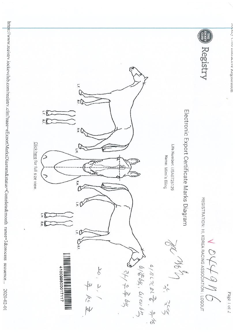 �̹̽������� ����,���,�޸�,�λ�,�ٸ��� Ư¡����