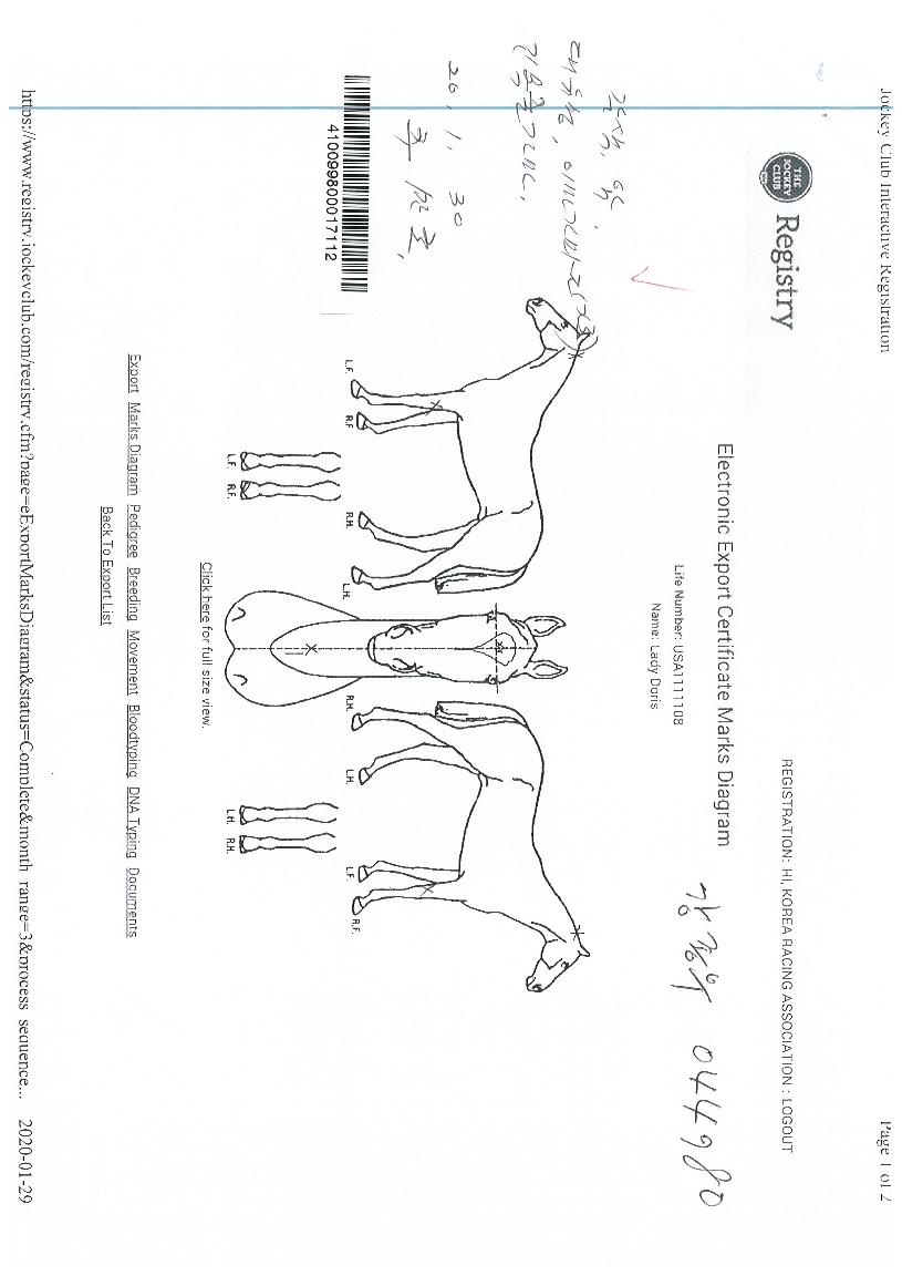 ���̵𵵸����� ����,���,�޸�,�λ�,�ٸ��� Ư¡����