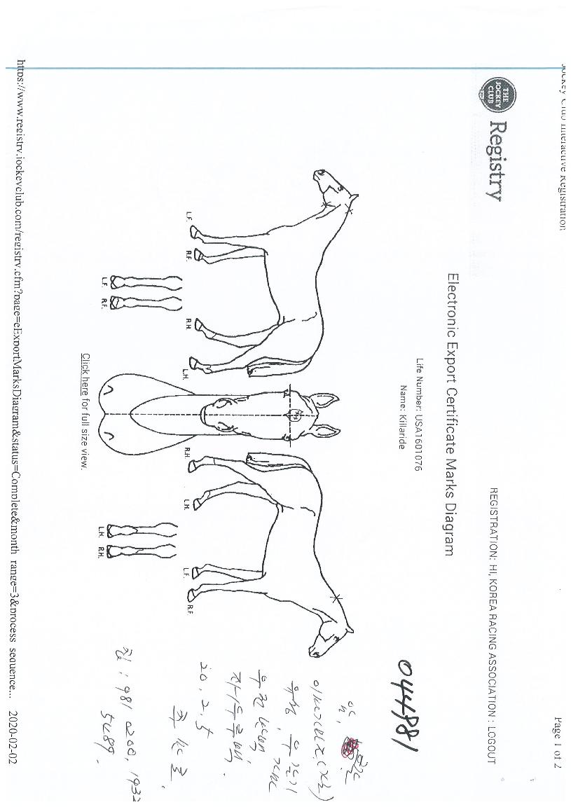 ų¶ó¸®µåÀÇ Ãø¸é,¿ì¸é,µÞ¸é,µÎ»ó,´Ù¸®ÀÇ Æ¯Â¡µµÇØ