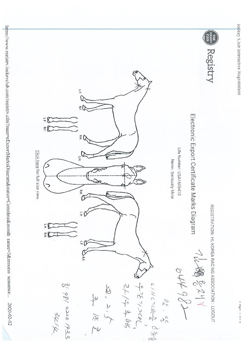 ½Ã¾î¸®¾î½½¸®¸¶ÀÎÀÇ Ãø¸é,¿ì¸é,µÞ¸é,µÎ»ó,´Ù¸®ÀÇ Æ¯Â¡µµÇØ