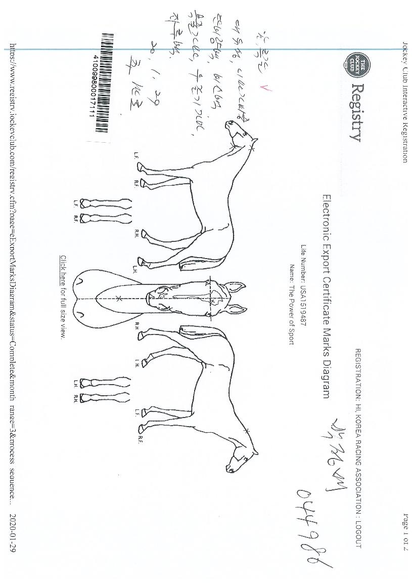 ´õÆÄ¿ö¿Àºê½ºÆ÷Æ®ÀÇ Ãø¸é,¿ì¸é,µÞ¸é,µÎ»ó,´Ù¸®ÀÇ Æ¯Â¡µµÇØ