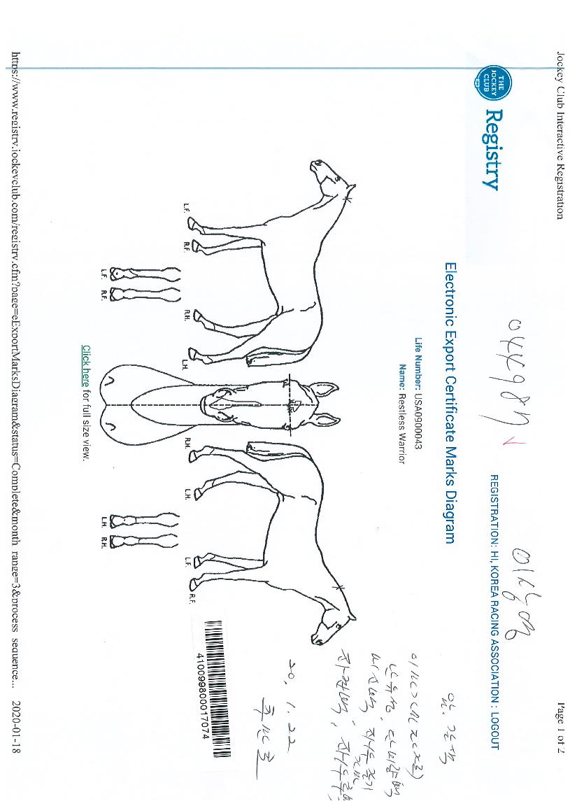 ���������������� ����,���,�޸�,�λ�,�ٸ��� Ư¡����