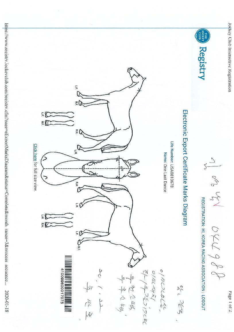 ����Ʈ������ ����,���,�޸�,�λ�,�ٸ��� Ư¡����