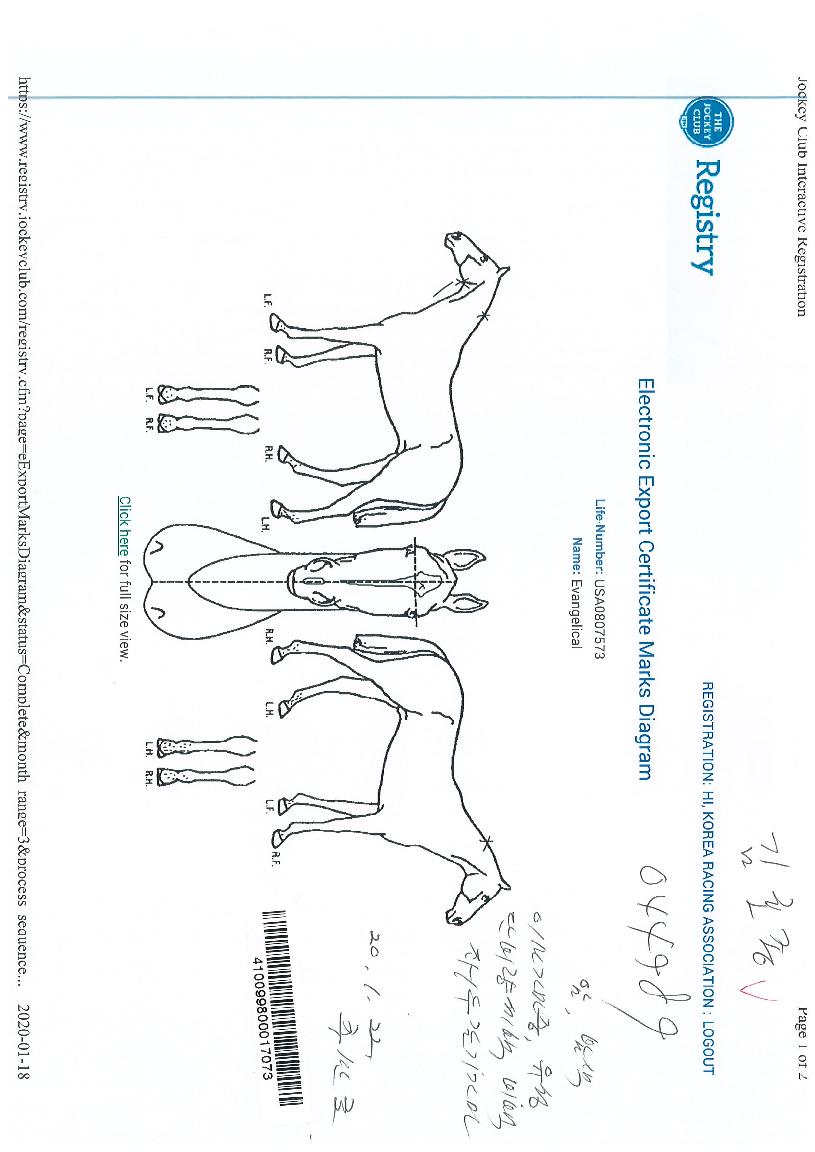 ��������Į�� ����,���,�޸�,�λ�,�ٸ��� Ư¡����