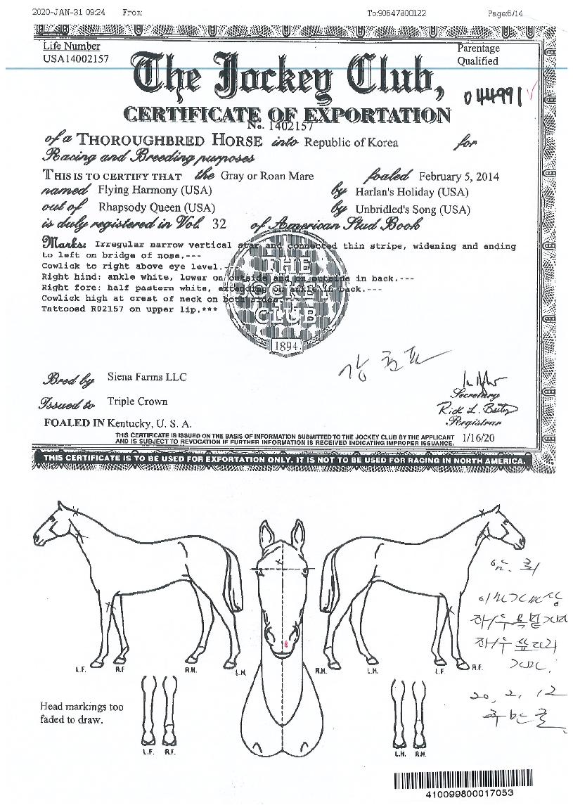 ÇöóÀ×Çϸð´ÏÀÇ Ãø¸é,¿ì¸é,µÞ¸é,µÎ»ó,´Ù¸®ÀÇ Æ¯Â¡µµÇØ