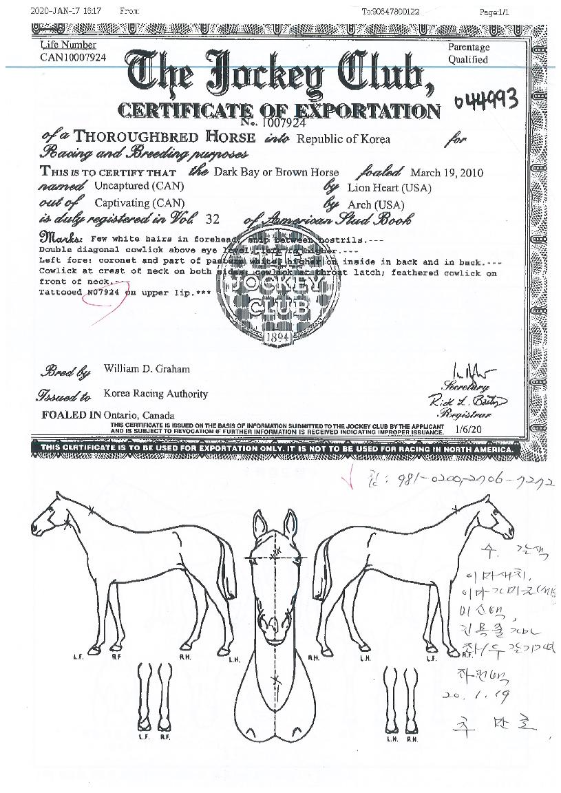 ��ĸó���� ����,���,�޸�,�λ�,�ٸ��� Ư¡����