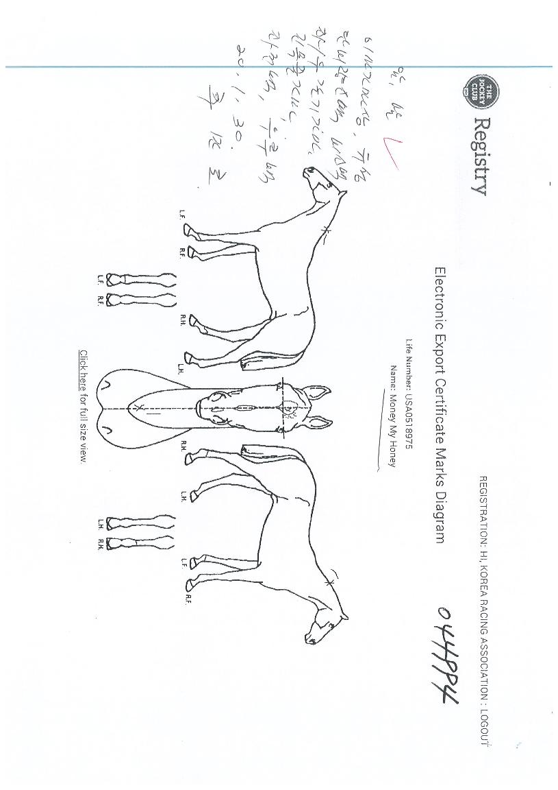 ¸Ó´Ï¸¶ÀÌÇã´ÏÀÇ Ãø¸é,¿ì¸é,µÞ¸é,µÎ»ó,´Ù¸®ÀÇ Æ¯Â¡µµÇØ