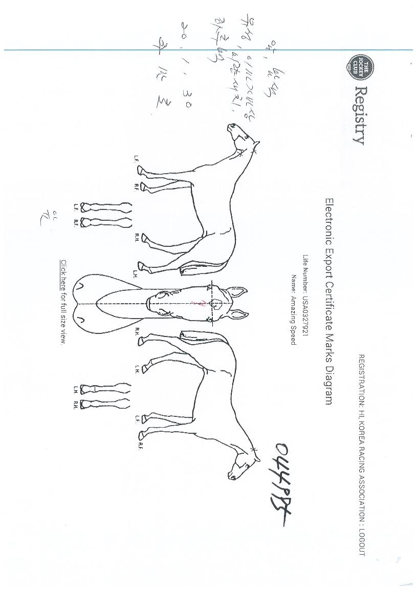 �����¡���ǵ��� ����,���,�޸�,�λ�,�ٸ��� Ư¡����