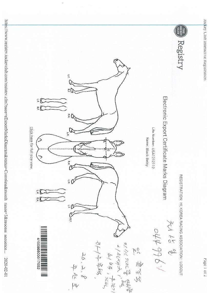 ºí·¢ºª½ÃÀÇ Ãø¸é,¿ì¸é,µÞ¸é,µÎ»ó,´Ù¸®ÀÇ Æ¯Â¡µµÇØ